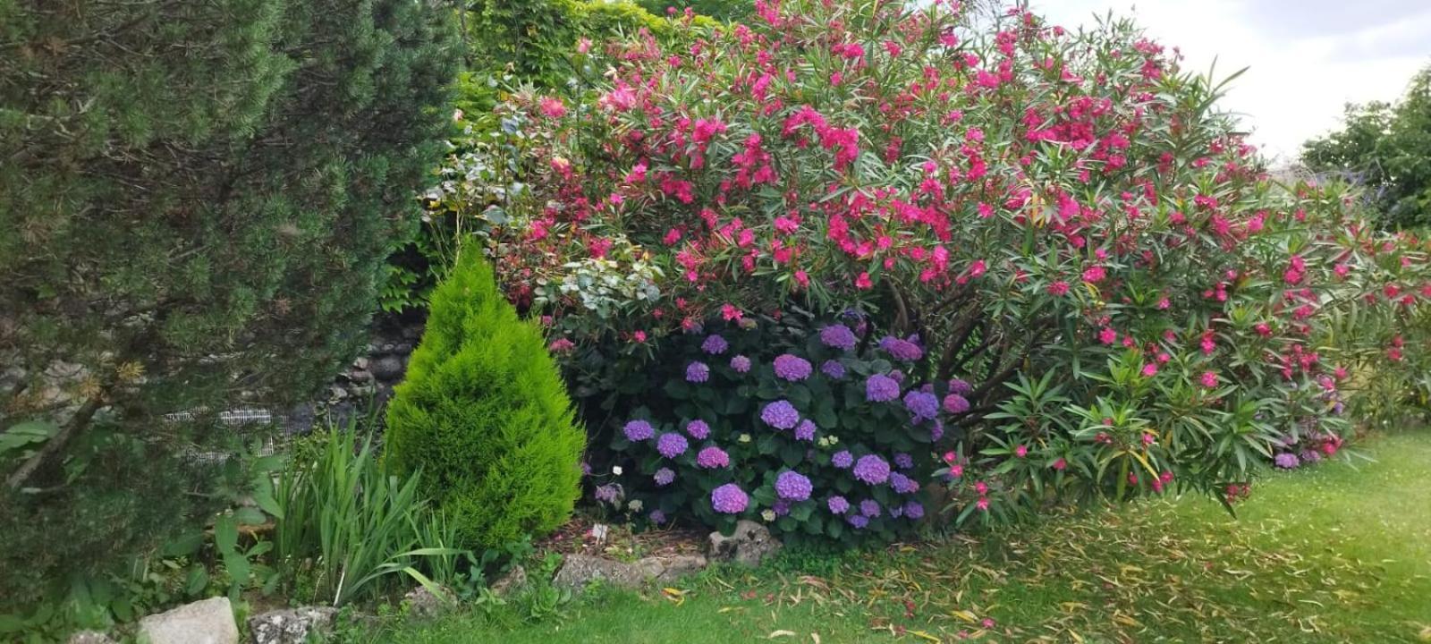 Gite 5 "Le Laurus" Aux Magnolias Aubenas Exterior foto